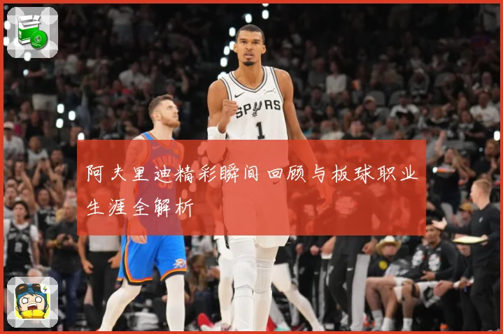 阿夫里迪精彩瞬间回顾与板球职业生涯全解析
