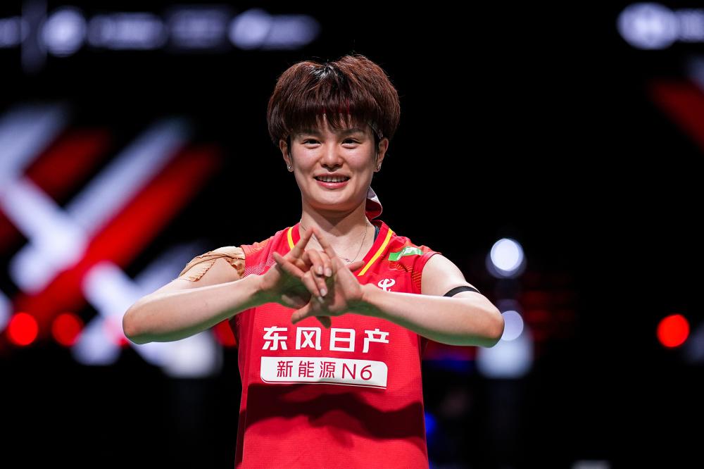 阿夫里迪精彩瞬间回顾与板球职业生涯全解析