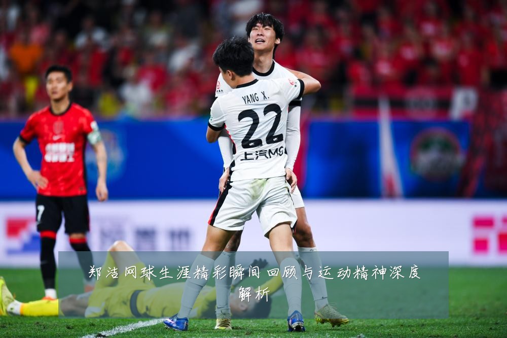 郑洁网球生涯精彩瞬间回顾与运动精神深度解析
